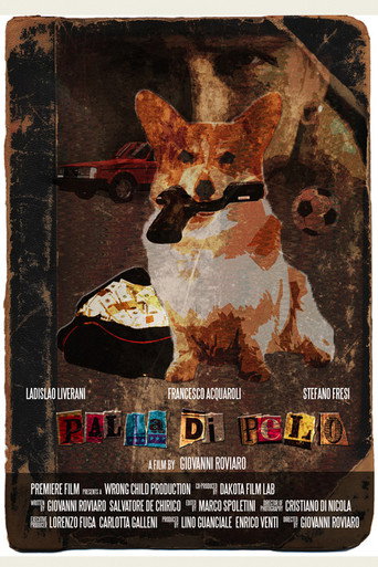 Palla di pelo poster