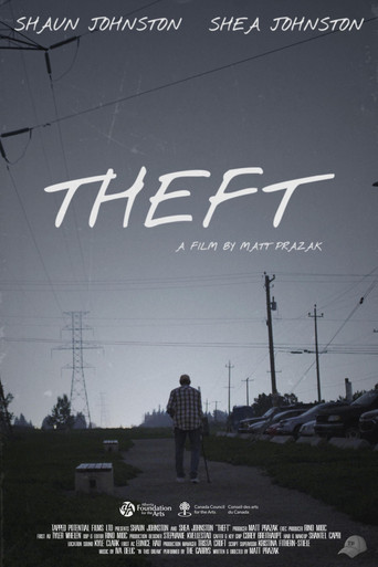 Movie poster for Theft