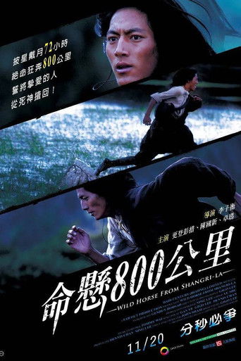 Wild Horse from Shangri-La poster
