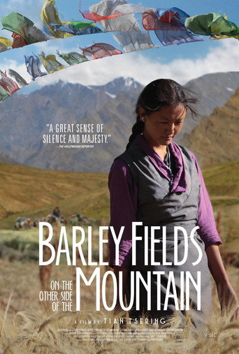 Movie poster for Barley Fields on the Other Side of the Mountain (2017)