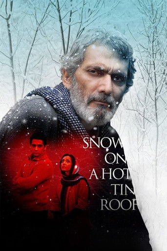Snow on a Hot Tin Roof poster