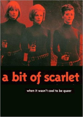 Movie poster for A Bit Of Scarlet (1997)