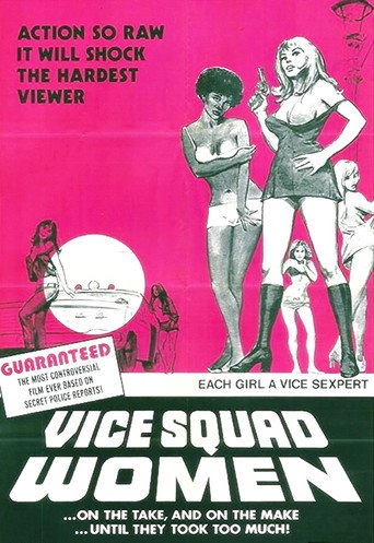Movie poster for Vice Squad Women (1973)