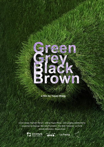 Movie poster for Green Grey Black Brown (2024)