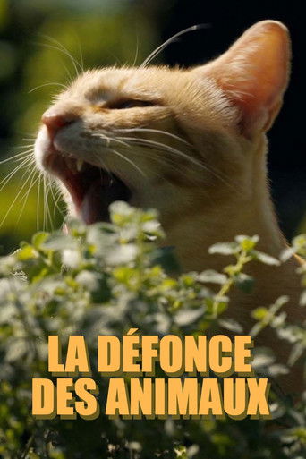 Movie poster for La défonce des animaux (2025)