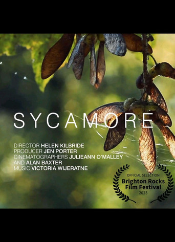 Sycamore poster