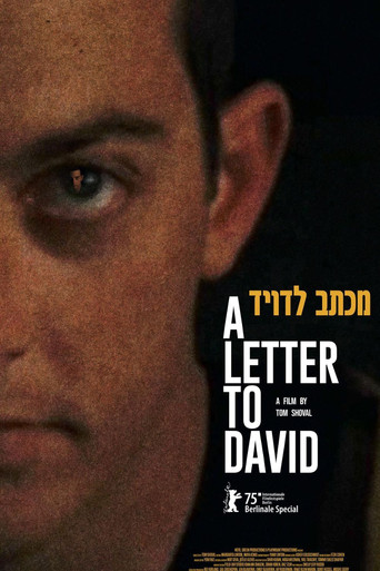 Movie poster for A Letter to David (2025)