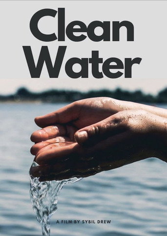 Movie poster for Clean Water (2025)