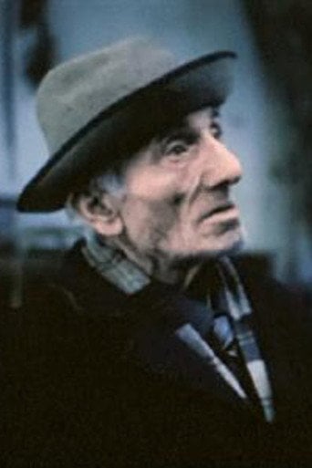 Movie poster for Noe (1991)