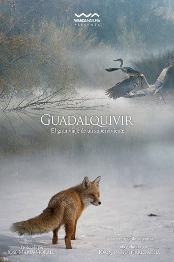 Movie poster for Guadalquivir (2013)