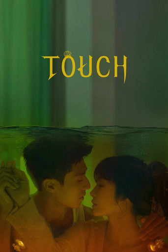 Touch Me Like You Lied poster