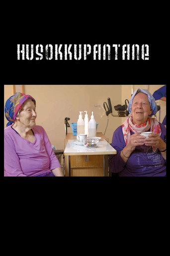 Movie poster for Granny Squatters (2016)