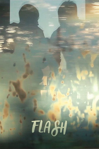 Movie poster for FLASH (2015)
