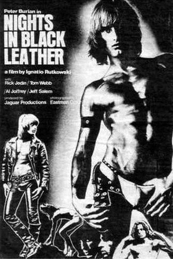 Movie poster for Nights in Black Leather (1973)