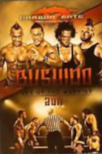 Dragon Gate USA Bushido 2011: Code of the Warrior poster