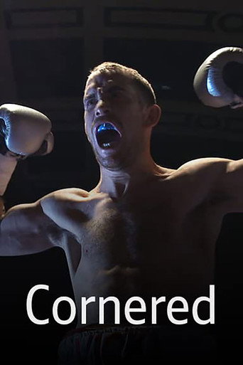 Movie poster for Cornered (2013)