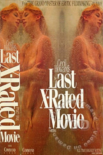 Movie poster for The Last X-rated Movie (1990)