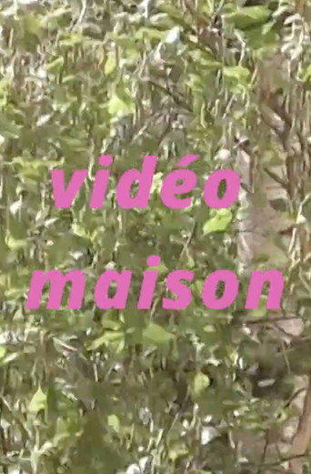 Movie poster for Vidéo maison (2026)