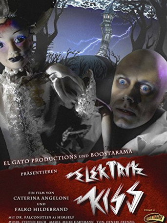 Movie poster for Elektrik Kiss (2010)