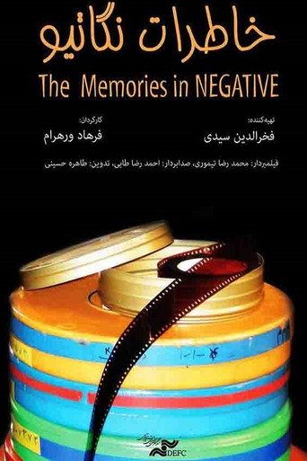 Movie poster for Negative Memories (2014)