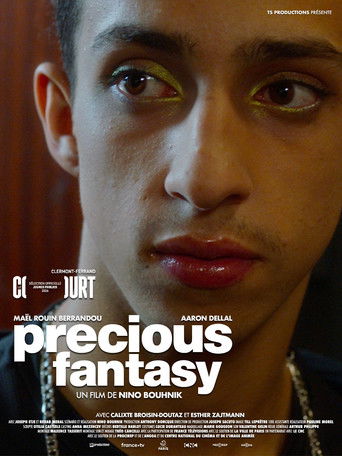 Precious Fantasy poster