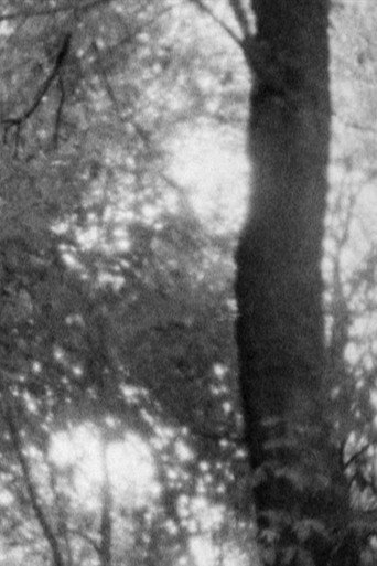 Movie poster for Untitled 1 (2008)