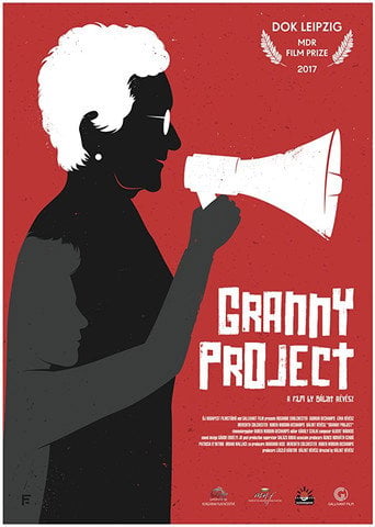 Movie poster for Granny Project (2017)
