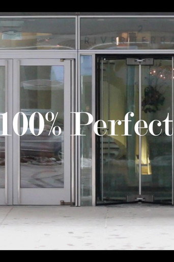 Movie poster for The 100% Perfect Girl (2015)