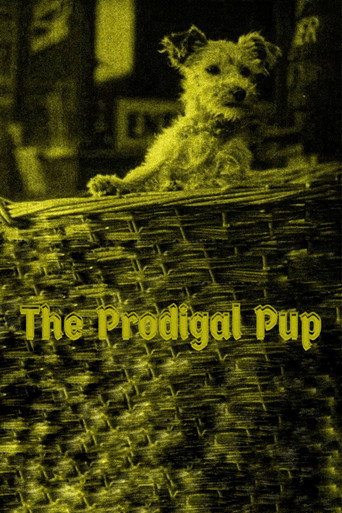 Movie poster for The Prodigal Pup (1929)