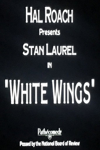 Movie poster for White Wings (1923)