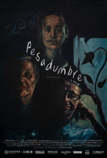 Movie poster for Sorrowful Memory (2025)