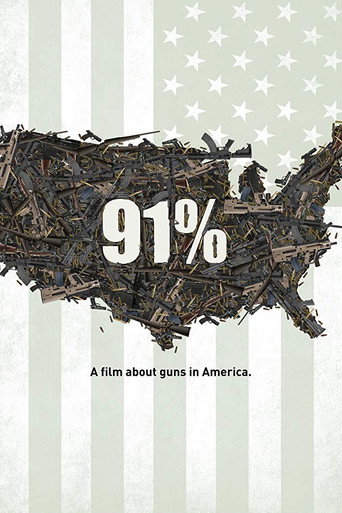 Movie poster for 91% (2016)