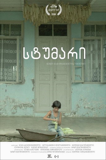 Movie poster for L'invité (2016)