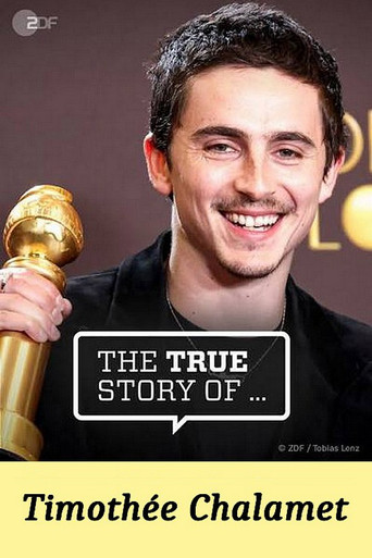 Movie poster for The True Story of Timothée Chalamet (2026)