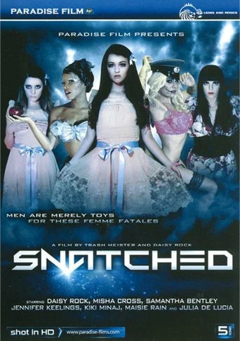 Movie poster for Snatched (2014)