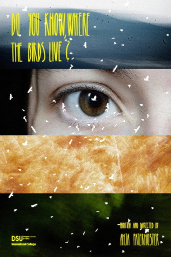 Movie poster for Do You Know, Where the Birds Live? (2025)