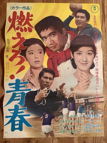 Movie poster for The Flame of Youth (1968)