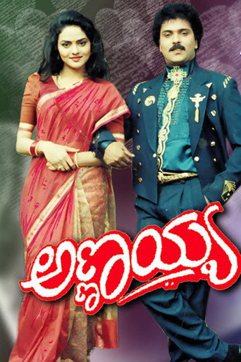 Movie poster for Annayya (1993)