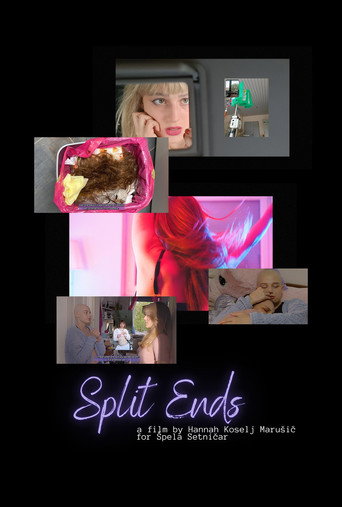 Movie poster for Split Ends (2024)