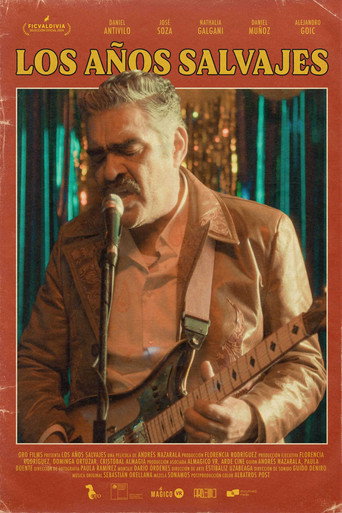 The Wild Years poster