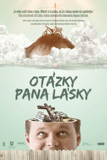 Otázky pana Lásky poster