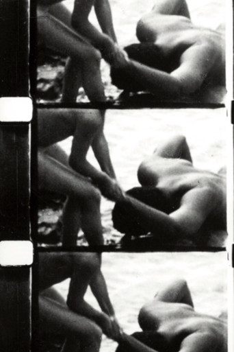Movie poster for Perforce (1968)