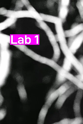 Movie poster for Lab 1 (2026)