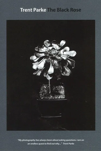 Movie poster for Trent Parke: The Black Rose (2015)