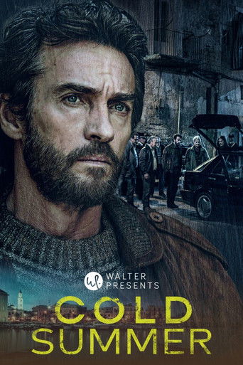 The Fenoglio Method - The Cold Summer poster