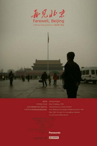 Movie poster for Farewell, Beijing (2009)