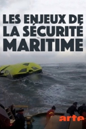 Movie poster for Sicherheit auf See (2015)