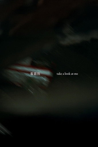 Movie poster for Take a Look at Me (2025)