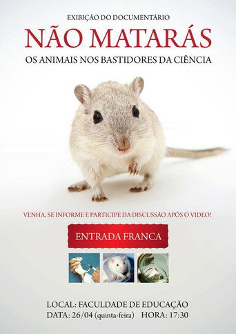 Movie poster for Não Matarás (2006)