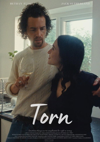 Movie poster for Torn